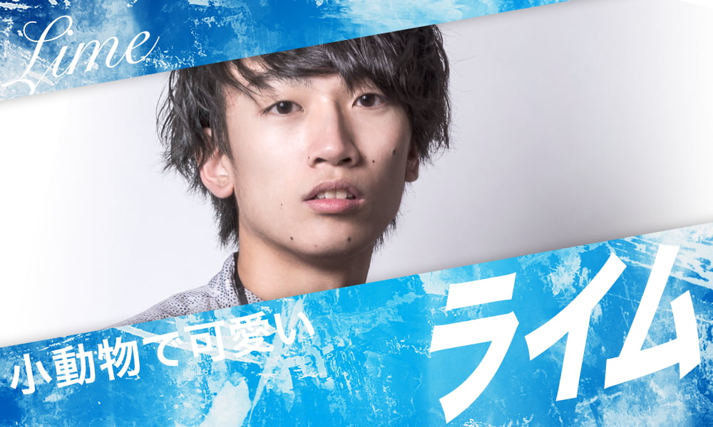 ライム　小動物で可愛い